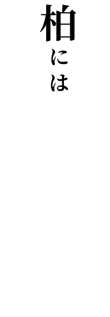 柏には知っておきたい店がある