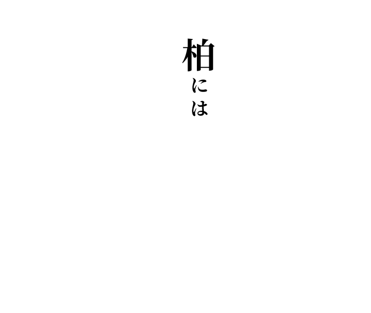 柏には知っておきたい店がある