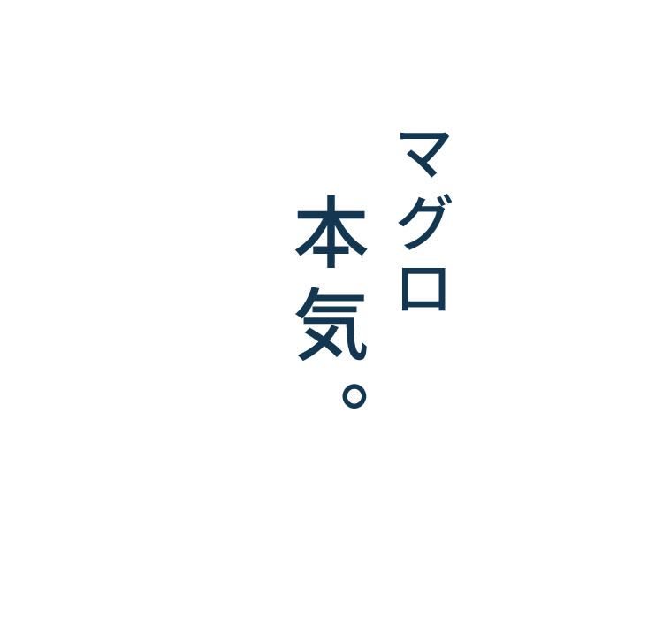 マグロに本気。